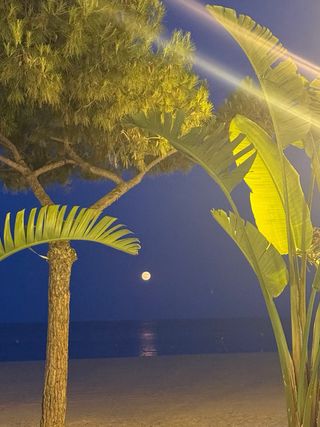 Hotel platja