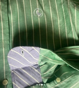Camisa El Ganso Rayas Verdes