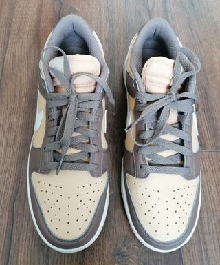 Nike Dunk Low Next Nature Beige/Marrón