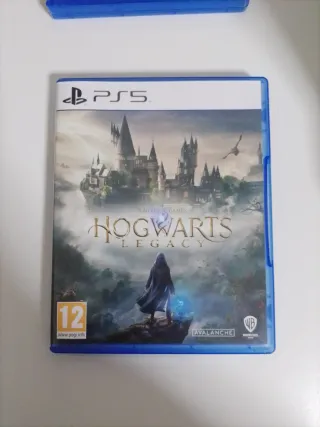 Juego PS5 Hogwarts Legacy