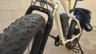 Bici Eléctrica Fatbike RADRHINO