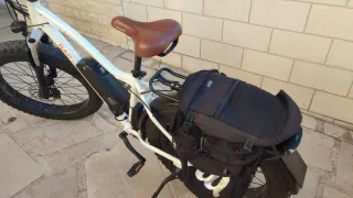 Bici Eléctrica Fatbike RADRHINO