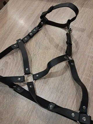 Arnés negro con collar