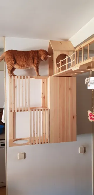 Estantería para gatos de madera con reja