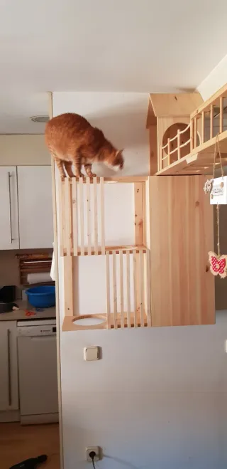 Estantería madera gatos con reja