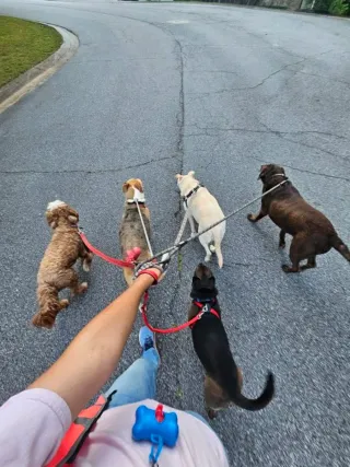 PASEO A TU PERRO Fuenlabrada y Leganes