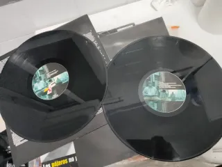 Vinilo Frank T - los pájaros no pueden vivir...