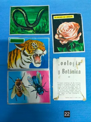 cromos zoología y botánica antiguos (varias colecc