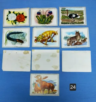cromos zoología y botánica antiguos (varias colecc