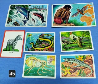 cromos zoología y botánica antiguos (varias colecc