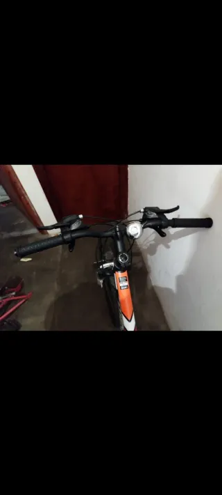 Bicicleta de montaña