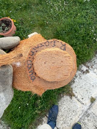 Figura Coco Recuerdo Rep. Dominicana