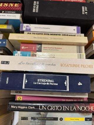 Lote libros variados | 1x3,5€ y 5x12€