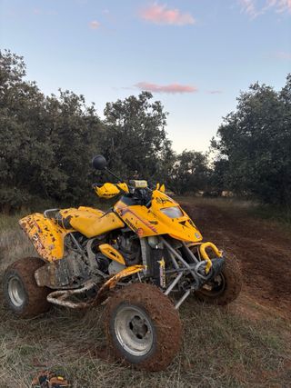 Quad bombardier DS650