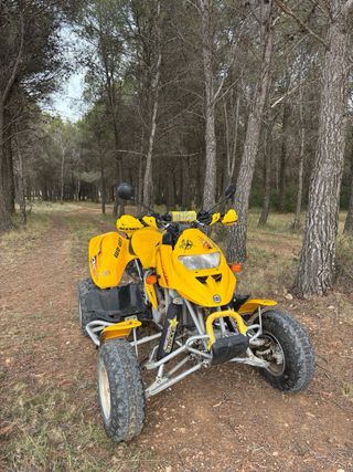 Quad bombardier DS650