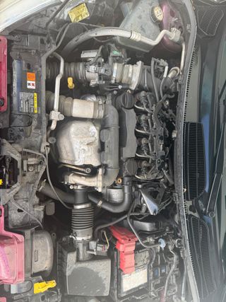 Ford Fiesta 2009