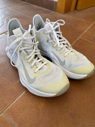 Zapatillas Nike Baloncesto Blancas y Plateadas