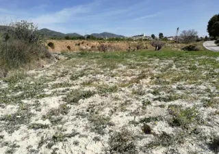Terreno rústico en venta