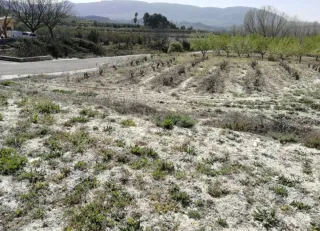 Terreno rústico en venta