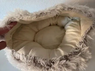 Cama de gato