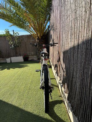 Bicicleta de Montaña Giant
