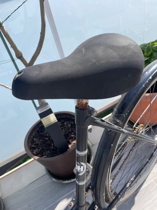 Bicicleta BH Vintage de Paseo