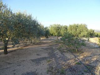 Terreno en venta en Centre en Tortosa