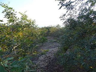 Terreno en venta en Centre en Tortosa