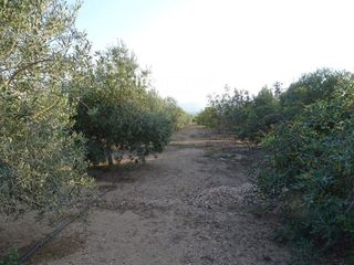 Terreno en venta en Centre en Tortosa