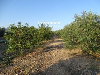 Terreno en venta en Centre en Tortosa