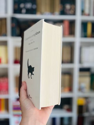 Cuentos completos Poe