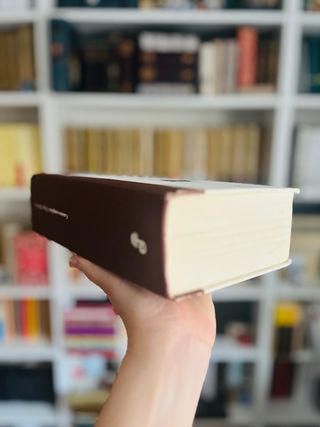 Cuentos completos Poe