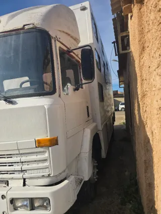 Se vende camion