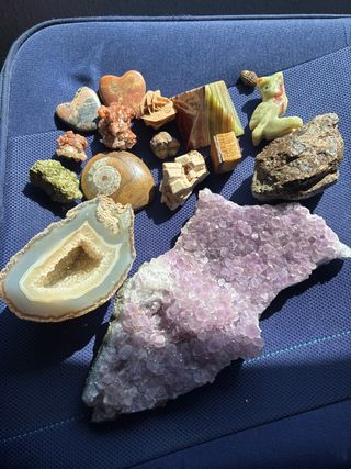 Lote de piedras y fósiles variados