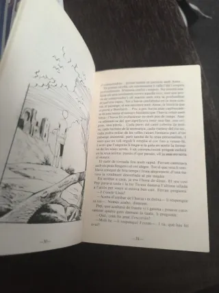 El Guardià De L'anell