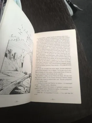 El Guardià De L'anell