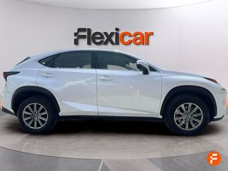 Lexus NX 2.5 300h Business 2WD