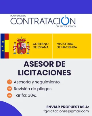 Asesor de licitaciones