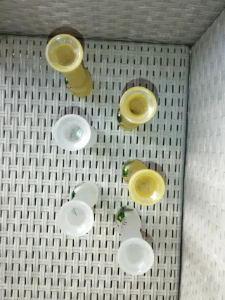 6 Bicchieri Limoncello Decorati