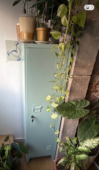 Mueble de almacenaje metálico verde