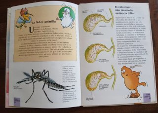 Érase una vez el cuerpo humano