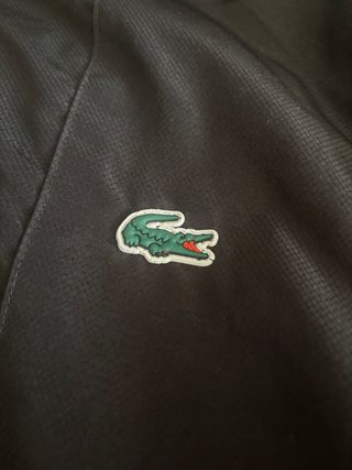 Conjunto Chándal Lacoste Negro