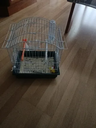 Jaula para pájaros blanca y verde