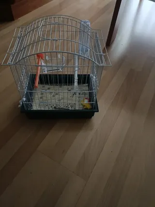 Jaula para pájaros blanca y verde