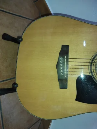 Guitarra Acústica Ibanez