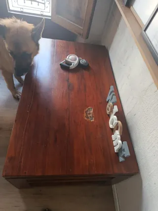 Mesa de centro de madera maciza