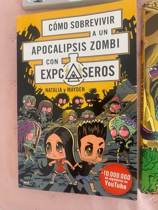 Pack de 6 libros Expcaseros