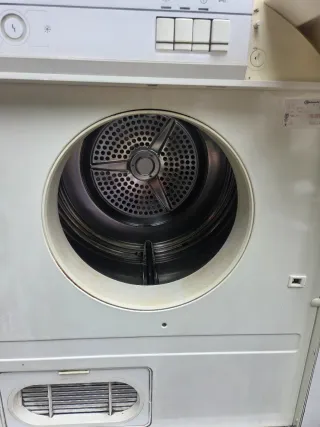 Secadora Bauknecht TRK 985 Electronic