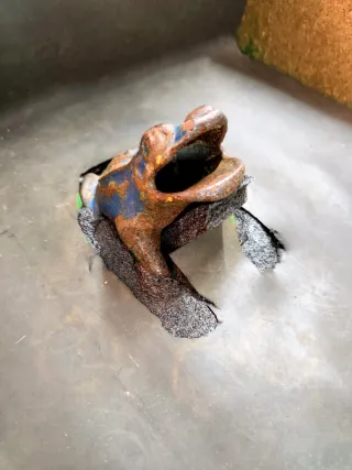 Juego de la Rana de Madera