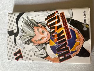 Mangas